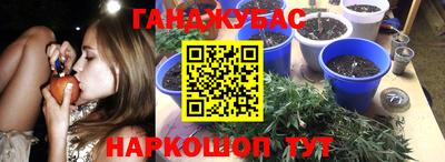 дмт Кандалакша