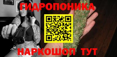 дмт Кандалакша