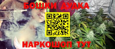 дмт Кандалакша