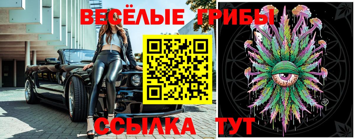 Псилоцибиновые грибы мицелий Дятьково